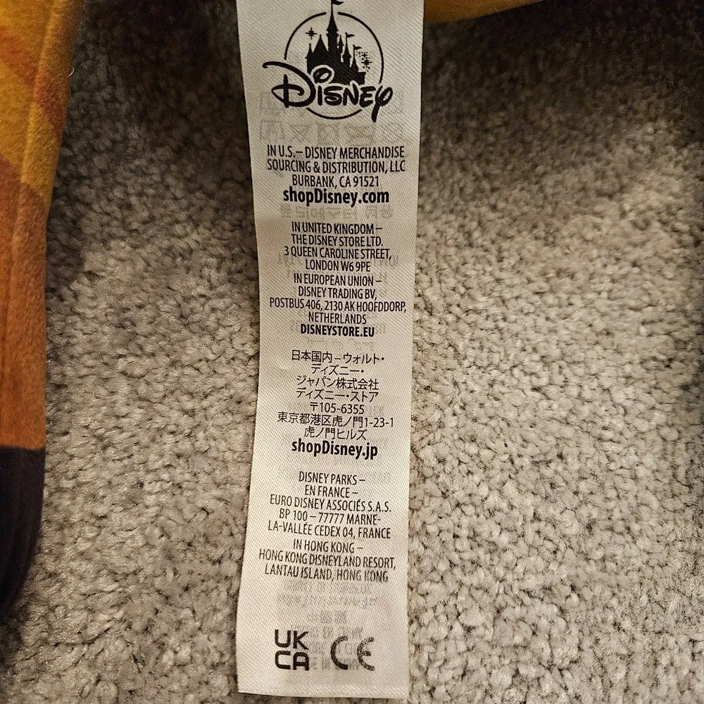 Disney bring home